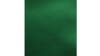 120" Emerald - Duchess rental in Jupiter, FL