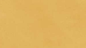 120" Gold - Polyester rental Jupiter, FL