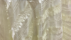 120" Ivory Cascade Taffeta Petals rental in Jupiter, FL