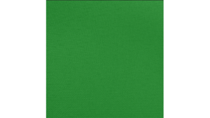 120" Kelly Green - Polyester rental Jupiter, FL