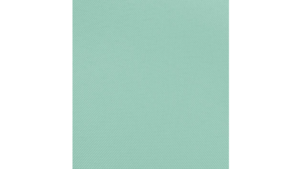 120" Mint - Polyester rental Jupiter, FL