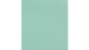 120" Mint - Polyester rental in Jupiter, FL