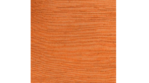 120" Orange - Majestic rental Jupiter, FL