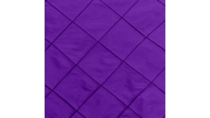 120" Purple - Bombay (3 - Are A Darker Shade) rental Jupiter, FL