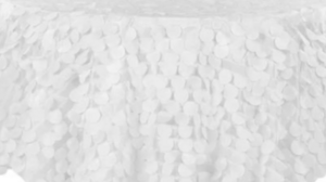 120" White Petal Circle - Taffeta rental Jupiter, FL