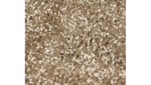 12X108 Champagne Gold - Sequin Runner rental Jupiter, FL