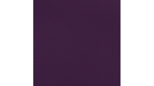 132" Aubergine - Polyester rental Jupiter, FL