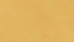 132" Gold - Polyester rental Jupiter, FL