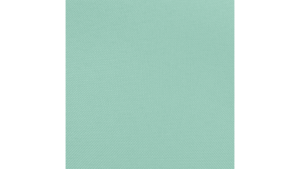 132" Mint - Polyester rental Jupiter, FL