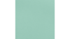 132" Mint - Polyester rental in Jupiter, FL