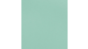 132" Mint - Polyester - Umbrella Hole rental Jupiter, FL
