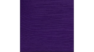 132" Purple - Majestic rental Jupiter, FL