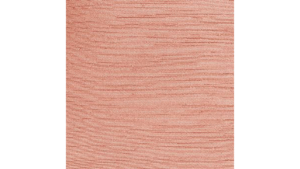 13X108 Coral - Majestic Runner rental Jupiter, FL
