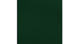 13X108 Runner - Hunter Green Runner rental Jupiter, FL