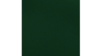 13X108 Runner - Hunter Green Runner rental in Jupiter, FL