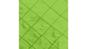 13X120 Apple - Bombay Runner rental Jupiter, FL