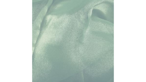 13X120 Aqua - Organza (Mint Shade) rental Jupiter, FL
