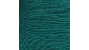 13X120 Teal - Majestic Runner rental Jupiter, FL