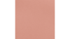 14X120 Coral Runner rental in Jupiter, FL