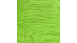 14X120 Lime - Majestic Runner rental Jupiter, FL