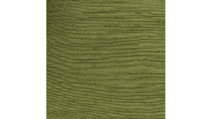 14X120 Moss Green - Majestic Runner rental Jupiter, FL