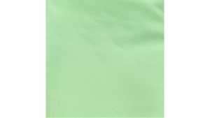 20X20 Mint Polyester- Napkin rental Jupiter, FL