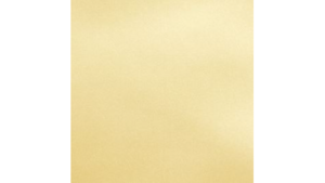 20X20 Wheat - Duchess- Napkin rental Jupiter, FL