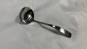 6" Ladle Shallow - Small rental Jupiter, FL