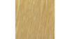 72X120 Harvest Gold - Delano rental in Jupiter, FL