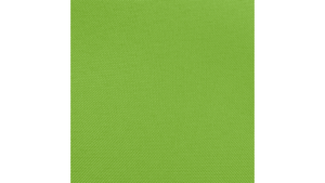 90X132 Lime Green - Polyester rental Jupiter, FL