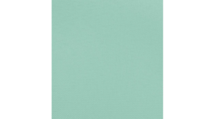 90X156 Mint - Polyester rental Jupiter, FL