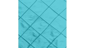 90X156 Turquoise - Bombay rental Jupiter, FL