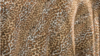 90X90 Leopard- Satin- Overlay rental in Jupiter, FL