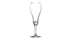 9Oz Tulip Champagne Glass (36 Per Rack) rental in Jupiter, FL
