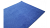 Blue Carpet 3' X 25' rental in Jupiter, FL
