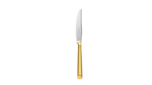 Brushed Gold Dinner Knife ( Set Of 10) rental Jupiter, FL