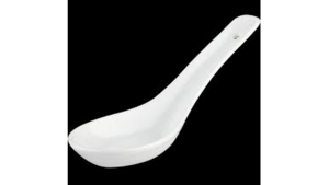 Ceramic Asian Spoon rental Jupiter, FL