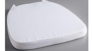 Cushion - White Polyester Cover (Velcro) rental Jupiter, FL