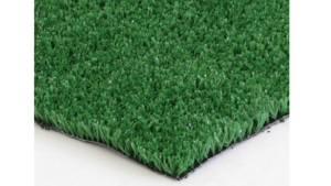 Green Turf (Per Sq/Ft) rental Jupiter, FL