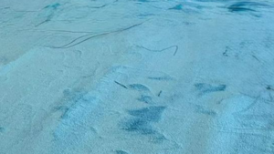 Light Blue Carpet 10' X 15' rental Jupiter, FL