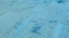 Light Blue Carpet 10' X 15' rental in Jupiter, FL