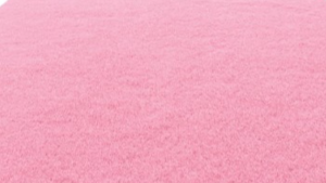 Light Pink Carpet Runner 3' X 15' rental Jupiter, FL