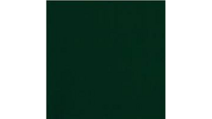 Sash - Hunter Green rental Jupiter, FL