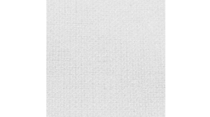 Sash - White Havana rental Jupiter, FL