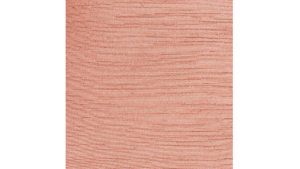 Sash Coral - Majestic rental Jupiter, FL