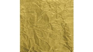 Sash Gold - Shalimar rental Jupiter, FL