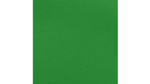 Sash Kelly Green rental Jupiter, FL