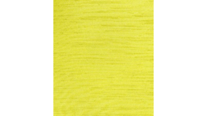 Sash Lemon - Majestic rental Jupiter, FL