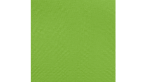 Sash Lime (10 Are 8X110) rental Jupiter, FL