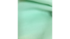 Sash Mint rental in Jupiter, FL